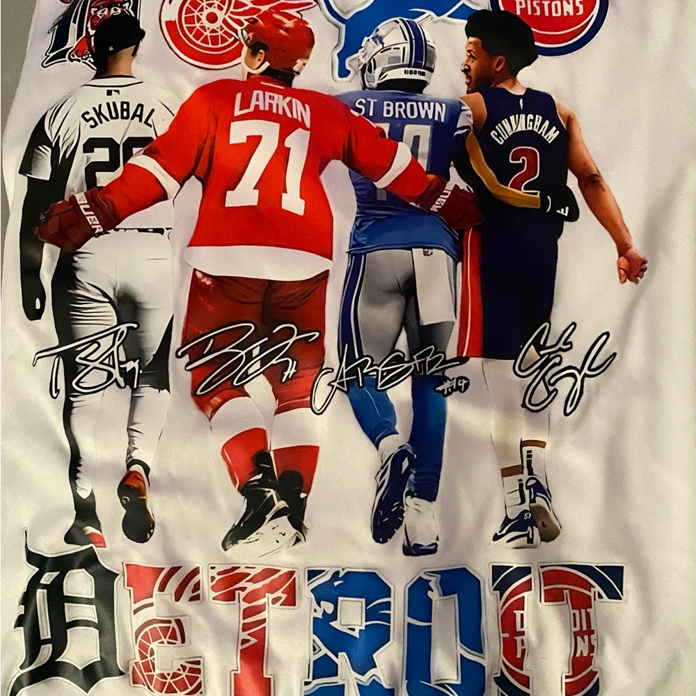Detroit Sports Graphic T-Shirt